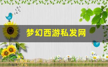 梦幻西游私发网 (14)