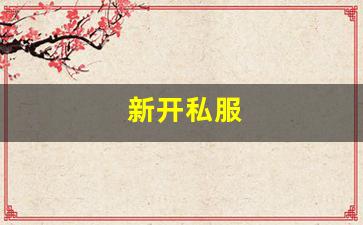 <strong>新开私服 (4)</strong>