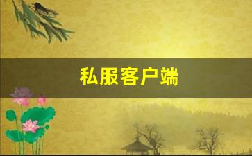 <strong>私服客户端 (18)</strong>
