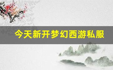 今天新开梦幻西游私服 (17)