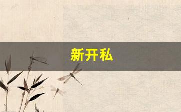 <strong>梦幻西游网页版：新开私(新开私人影院)</strong>