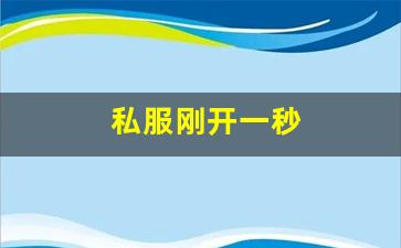 梦幻西游发布网新开服：私服刚开一秒(刚开