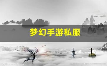 <strong>梦幻手游私服(梦幻西游手游渠道服) (2</strong>