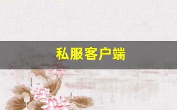<strong>私服客户端 (20)</strong>