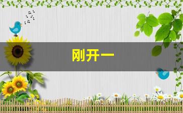 <strong>刚开一(刚开一秒传奇180合击) (2)</strong>