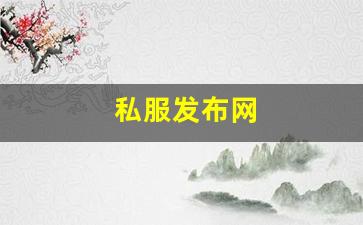 私服发布网：私服发布网(传奇手游sf99
