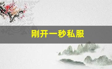 刚开一秒私服(刚开一秒手游传奇发布网)