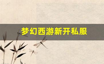 <strong>梦幻西游新开私服 (15)</strong>